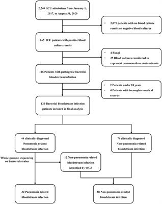 Clinical characteristics and prognosis of pneumonia-related bloodstream infections in the intensive care unit: a single-center retrospective study
